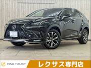 2019 LEXUS NX