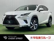 2019 LEXUS NX