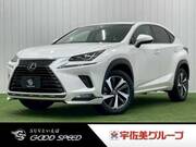 2018 LEXUS NX