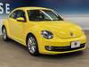 VOLKSWAGEN THE BEETLE