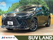 2023 LEXUS NX