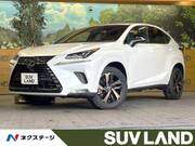 2020 LEXUS NX
