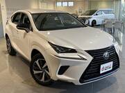 2018 LEXUS NX