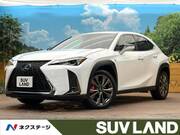2019 LEXUS UX