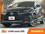 2019 LEXUS NX