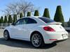 VOLKSWAGEN THE BEETLE