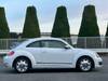 VOLKSWAGEN THE BEETLE