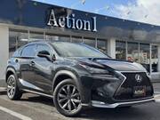 2017 LEXUS NX