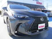 2022 LEXUS NX