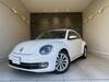 VOLKSWAGEN THE BEETLE