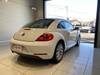 VOLKSWAGEN THE BEETLE