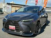 2022 LEXUS NX