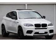 2010 BMW X6 M