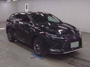 2022 LEXUS RX