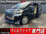 2019 TOYOTA VELLFIRE HYBRID