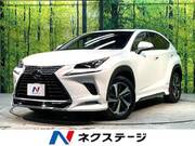 2018 LEXUS NX