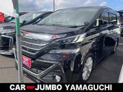 2017 TOYOTA VELLFIRE