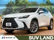 2023 LEXUS NX