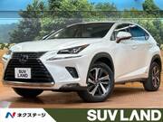 2019 LEXUS NX