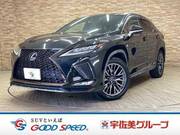 2019 LEXUS RX