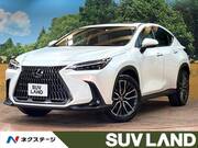 2023 LEXUS NX