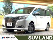 2016 TOYOTA ESQUIRE Gi