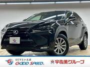 2014 LEXUS NX
