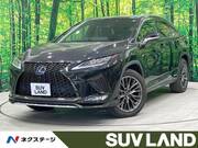 2020 LEXUS RX