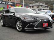 2019 LEXUS ES