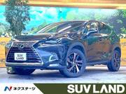 2018 LEXUS NX
