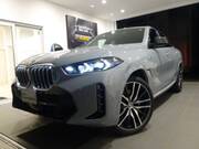 2025 BMW X6