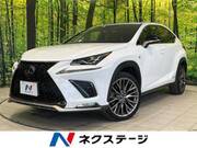 2019 LEXUS NX