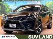 2021 LEXUS NX