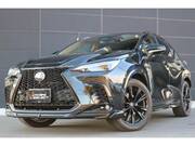 2025 LEXUS NX