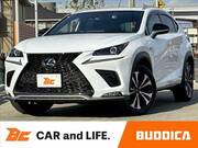 2019 LEXUS NX
