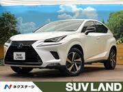 2019 LEXUS NX