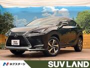 2019 LEXUS NX