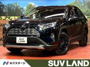 2019 TOYOTA RAV4 G