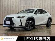 2021 LEXUS UX