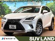 2019 LEXUS NX