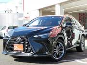 2023 LEXUS NX