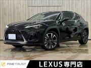 2021 LEXUS UX