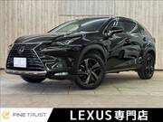 2017 LEXUS NX