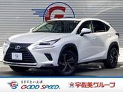 2019 LEXUS NX