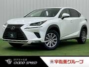 2019 LEXUS NX