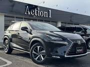 2018 LEXUS NX