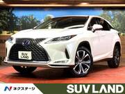 2020 LEXUS RX
