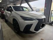 2023 LEXUS NX