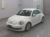 VOLKSWAGEN THE BEETLE