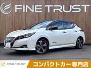 2020 NISSAN LEAF